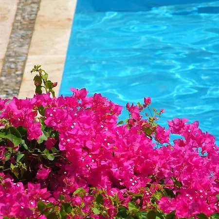 Oda ve Kahvaltı Berk Fethiye