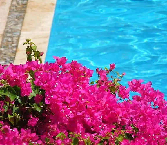 Bed & Breakfast Berk Fethiye